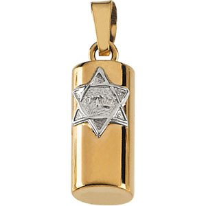 Sterling Silver 15x6 mm Mezuzah 18" Necklace